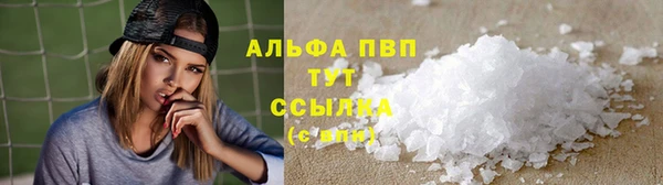 ПСИЛОЦИБИНОВЫЕ ГРИБЫ Иннополис
