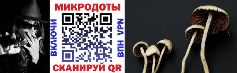 Галлюциногенные грибы ЛСД  Дмитриев 